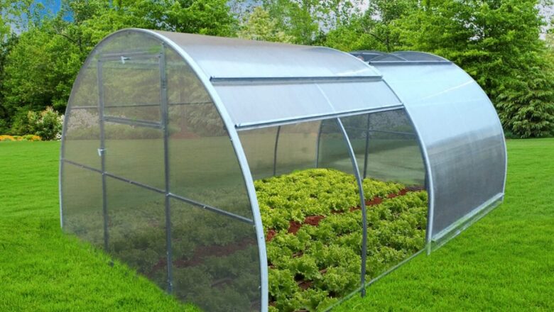 Czy szklarnie z poliwęglanu są dobrym rozwiązaniem dla upraw roślinnych?