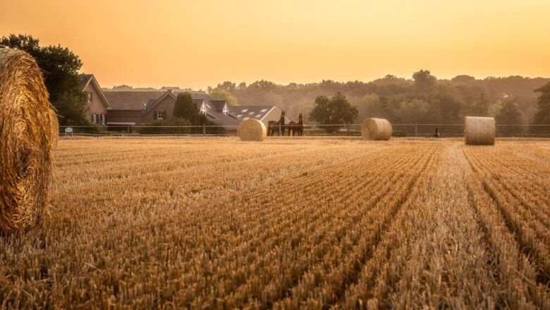 Innowacje w przechowywaniu pasz: Przewodnik po produktach BÖCK Silosysteme