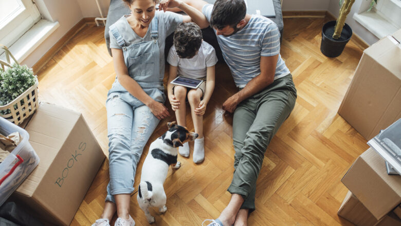 Nowa Wola: Wyjątkowe Segmenty w Doskonałej Lokalizacji