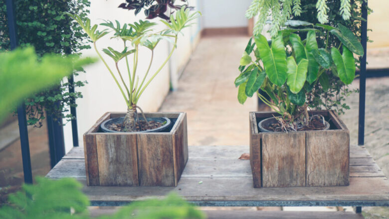 Piękne ozdoby z drewna do ogrodu- dodaj uroku swojej przestrzeni na świeżym powietrzu