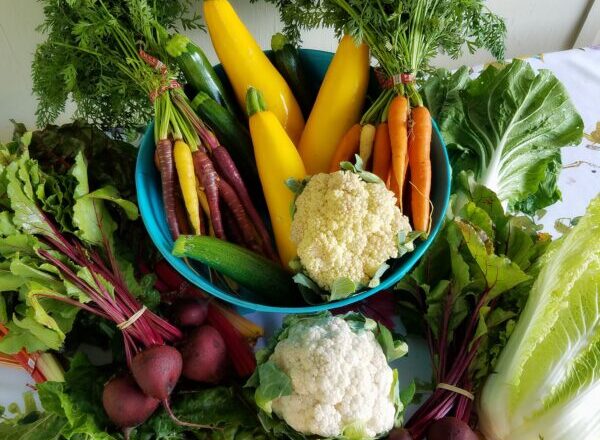 Jakie są najchętniej wybierane nasiona warzyw?