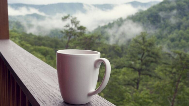 Karpackie Noclegi z Wyżywieniem: Twoje Doskonałe Schronienie w Sercu Przyrody