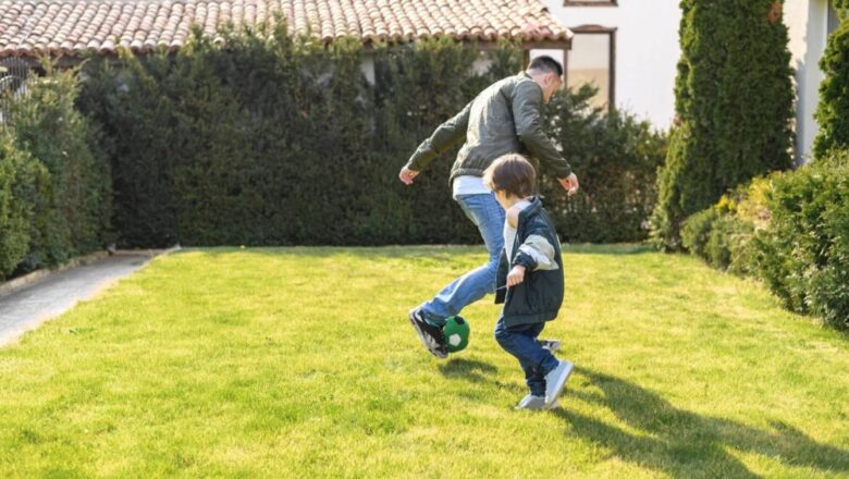 Wertykulacja trawnika – dlaczego warto ją robić?