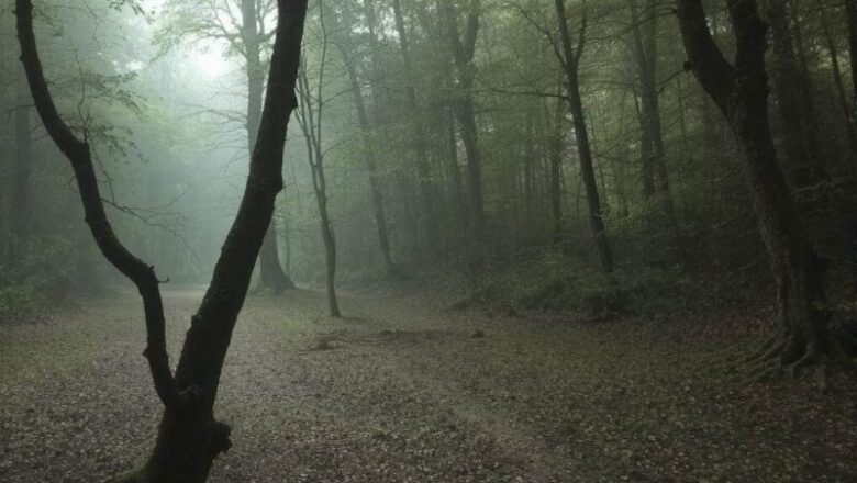 Zjawiska nieznane: Wprowadzenie do tematu