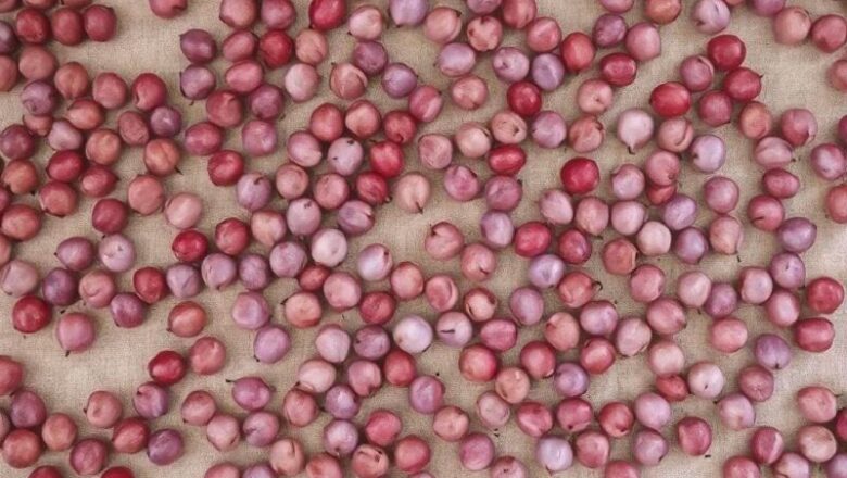 Jak zaprawić agrest: Kompletny przewodnik krok po kroku